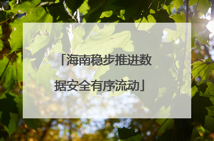 海南稳步推进数据安全有序流动