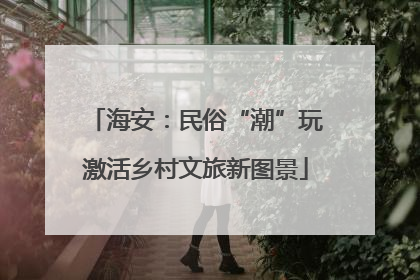 海安：民俗“潮”玩激活乡村文旅新图景