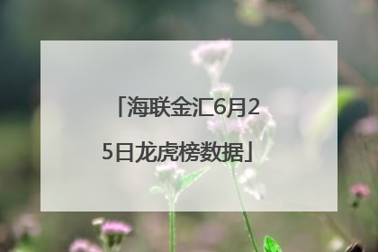 海联金汇6月25日龙虎榜数据