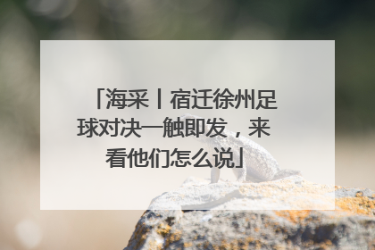 海采丨宿迁徐州足球对决一触即发，来看他们怎么说