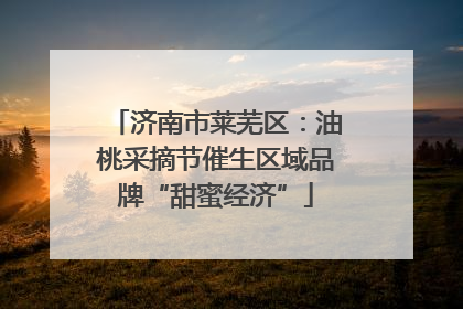 济南市莱芜区：油桃采摘节催生区域品牌“甜蜜经济”