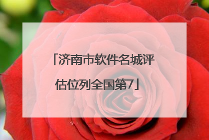 济南市软件名城评估位列全国第7