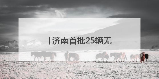 济南首批25辆无人快递车正式上路