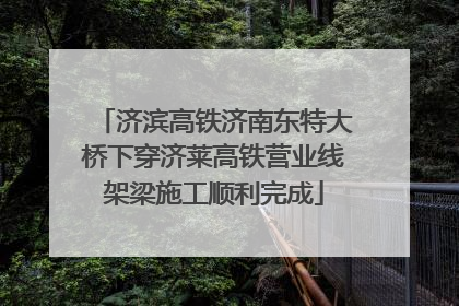 济滨高铁济南东特大桥下穿济莱高铁营业线架梁施工顺利完成