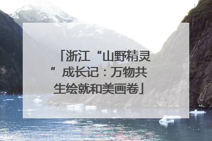 浙江“山野精灵”成长记：万物共生绘就和美画卷