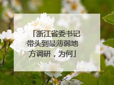浙江省委书记带头到最薄弱地方调研，为何