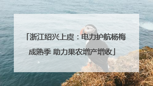 浙江绍兴上虞：电力护航杨梅成熟季 助力果农增产增收