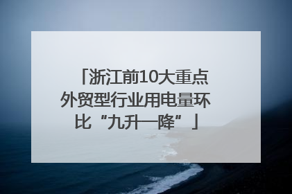 浙江前10大重点外贸型行业用电量环比“九升一降”