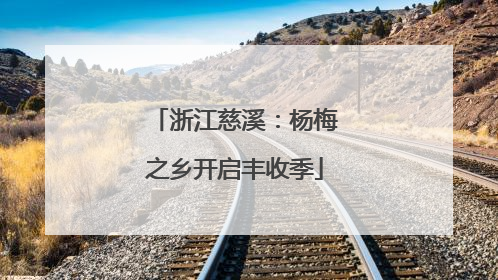 浙江慈溪：杨梅之乡开启丰收季