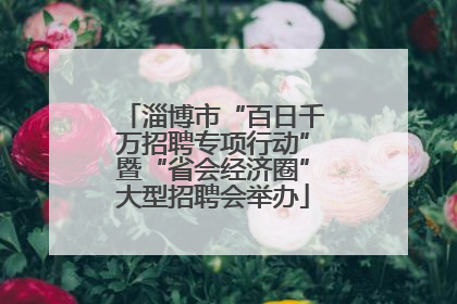 淄博市“百日千万招聘专项行动”暨“省会经济圈”大型招聘会举办