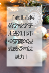 淮北市梅苑学校学子走进淮北市检察院沉浸式感受司法魅力