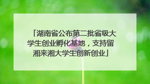湖南省公布第二批省级大学生创业孵化基地，支持留湘来湘大学生创新创业