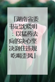 湖南省委书记沈晓明：以猛药去疴的决心坚决刹住违规吃喝歪风