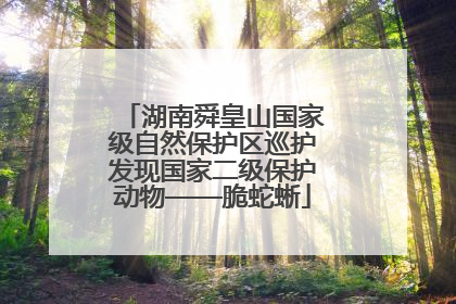 湖南舜皇山国家级自然保护区巡护发现国家二级保护动物——脆蛇蜥