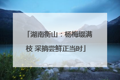 湖南衡山：杨梅缀满枝 采摘尝鲜正当时