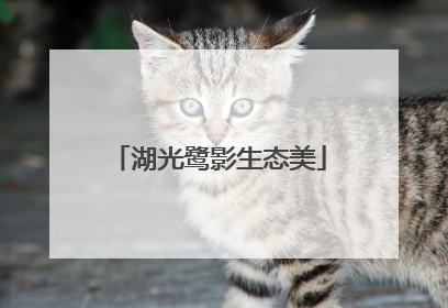 湖光鹭影生态美