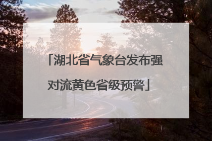 湖北省气象台发布强对流黄色省级预警