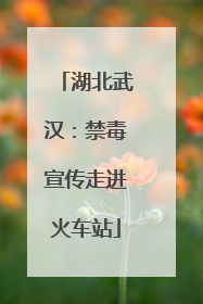 湖北武汉：禁毒宣传走进火车站