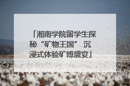 湘南学院留学生探秘“矿物王国” 沉浸式体验矿博盛宴