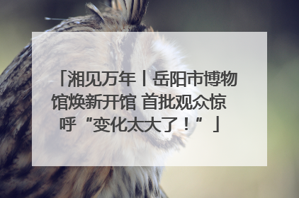 湘见万年丨岳阳市博物馆焕新开馆 首批观众惊呼“变化太大了！”
