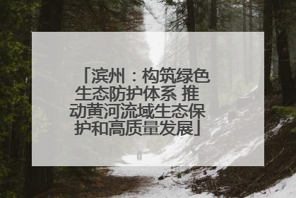 滨州：构筑绿色生态防护体系 推动黄河流域生态保护和高质量发展
