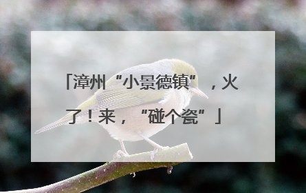 漳州“小景德镇”，火了！来，“碰个瓷”