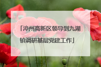 漳州高新区领导到九湖镇调研基层党建工作