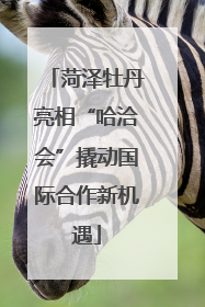 菏泽牡丹亮相“哈洽会”撬动国际合作新机遇