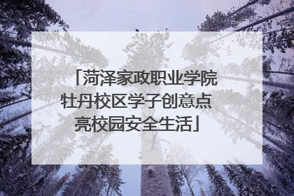 菏泽家政职业学院牡丹校区学子创意点亮校园安全生活