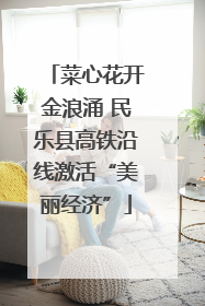 菜心花开金浪涌 民乐县高铁沿线激活“美丽经济”
