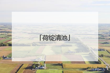 荷绽清池
