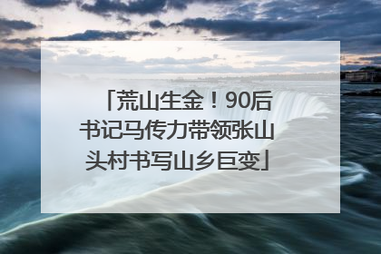 荒山生金！90后书记马传力带领张山头村书写山乡巨变