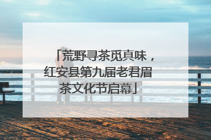 荒野寻茶觅真味，红安县第九届老君眉茶文化节启幕