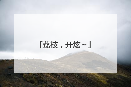 荔枝，开炫～
