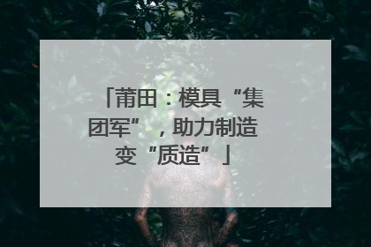 莆田：模具“集团军”，助力制造变“质造”