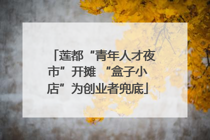 莲都“青年人才夜市”开摊 “盒子小店”为创业者兜底