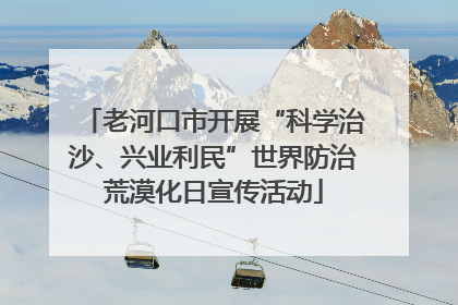 老河口市开展“科学治沙、兴业利民”世界防治荒漠化日宣传活动