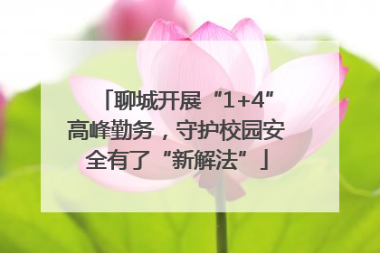 聊城开展“1+4”高峰勤务，守护校园安全有了“新解法”