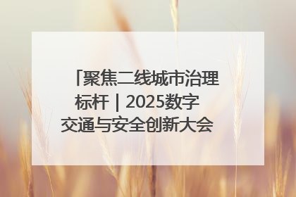 聚焦二线城市治理标杆｜2025数字交通与安全创新大会在保定隆重开幕