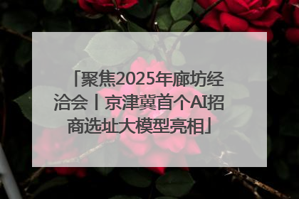 聚焦2025年廊坊经洽会丨京津冀首个AI招商选址大模型亮相
