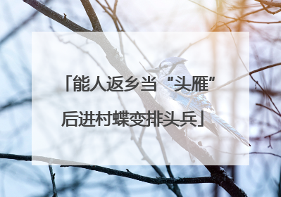 能人返乡当“头雁” 后进村蝶变排头兵
