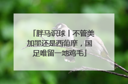 胖马识球丨不管美加墨还是西葡摩，国足唯留一地鸡毛