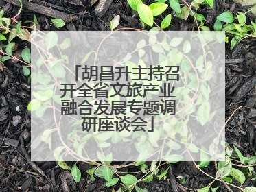 胡昌升主持召开全省文旅产业融合发展专题调研座谈会