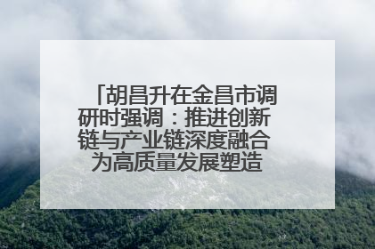 胡昌升在金昌市调研时强调：推进创新链与产业链深度融合 为高质量发展塑造新动能新优势