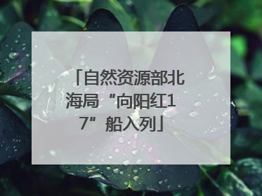 自然资源部北海局“向阳红17”船入列