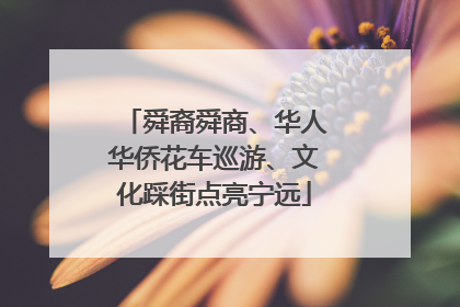舜裔舜商、华人华侨花车巡游、文化踩街点亮宁远