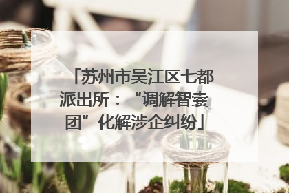 苏州市吴江区七都派出所：“调解智囊团”化解涉企纠纷