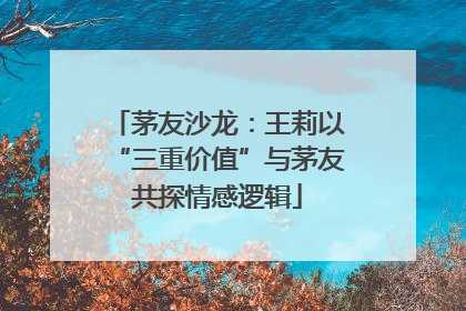 茅友沙龙：王莉以“三重价值”与茅友共探情感逻辑