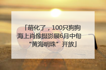 萌化了，100只狗狗海上肖像摄影展6月中旬“黄海明珠”开放