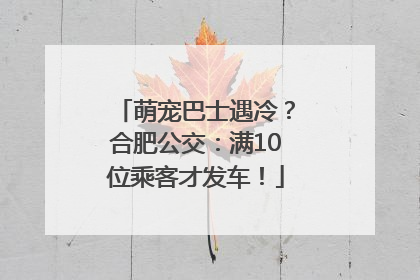 萌宠巴士遇冷？合肥公交：满10位乘客才发车！